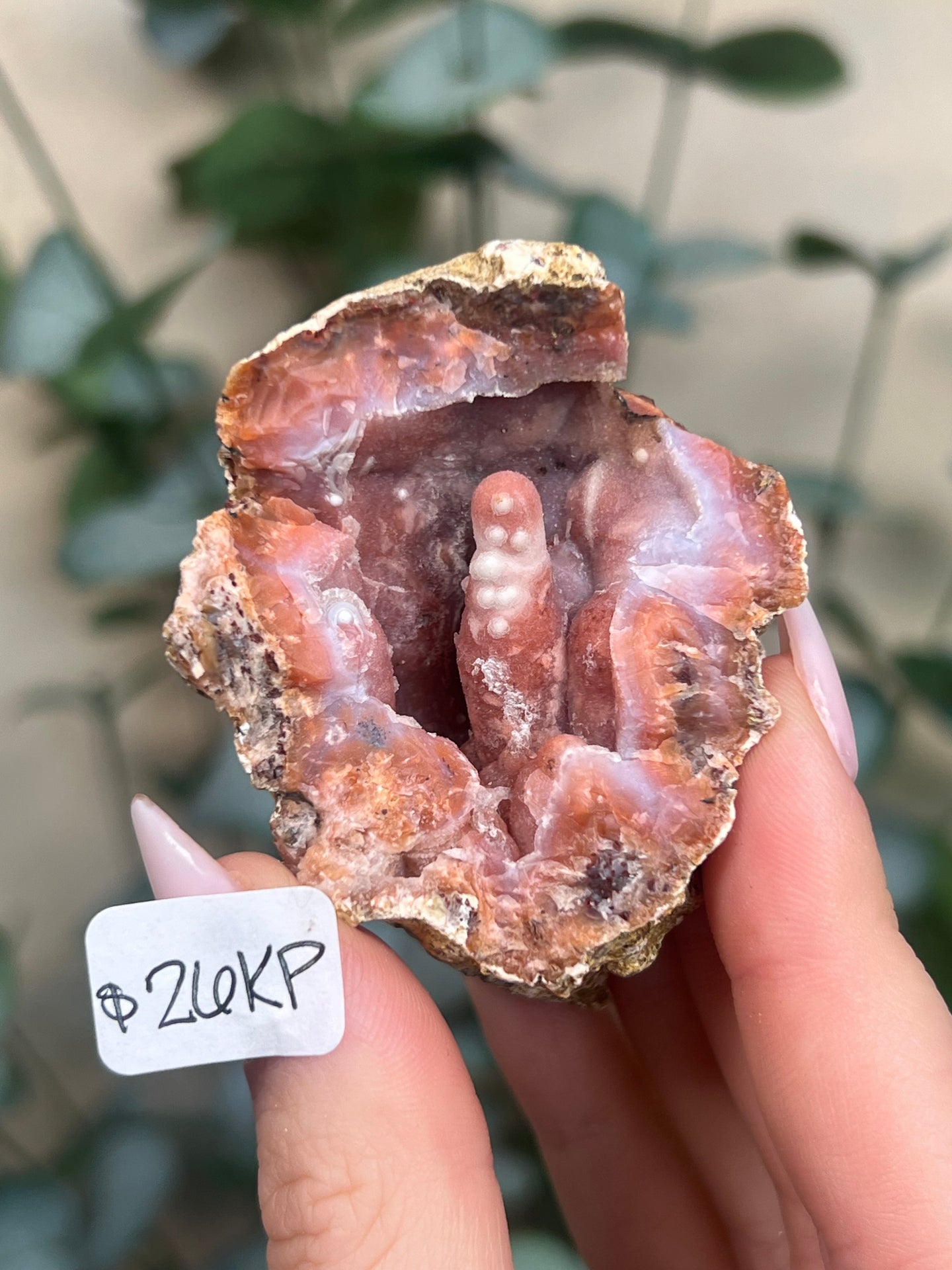 Pink Chalcedony Geodes (8 options)